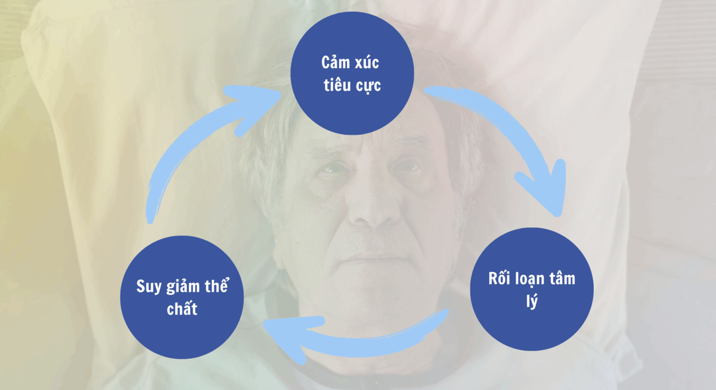 vòng xoáy của sự suy giảm thể chất → cảm xúc tiêu cực → rối loạn tâm lý → giảm khả năng vận động và sinh hoạt diễn ra ở người cao tuổi.