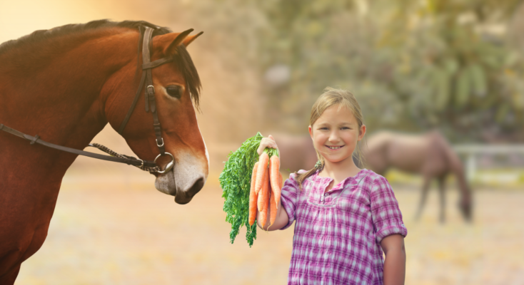 trị liệu tâm lý hỗ trợ bởi ngựa